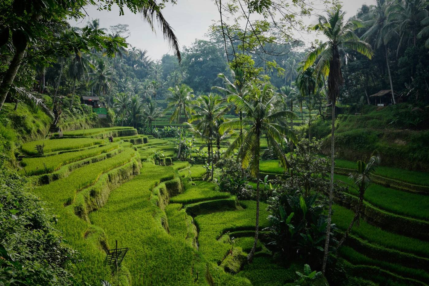 Modern Nature Luxury · Bali